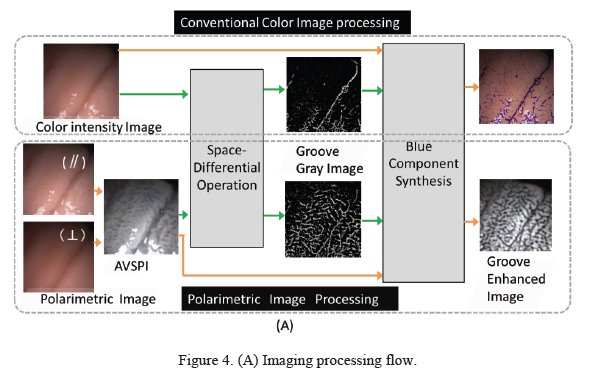 Imaging process flow